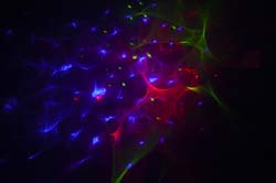 LisForLaser_13